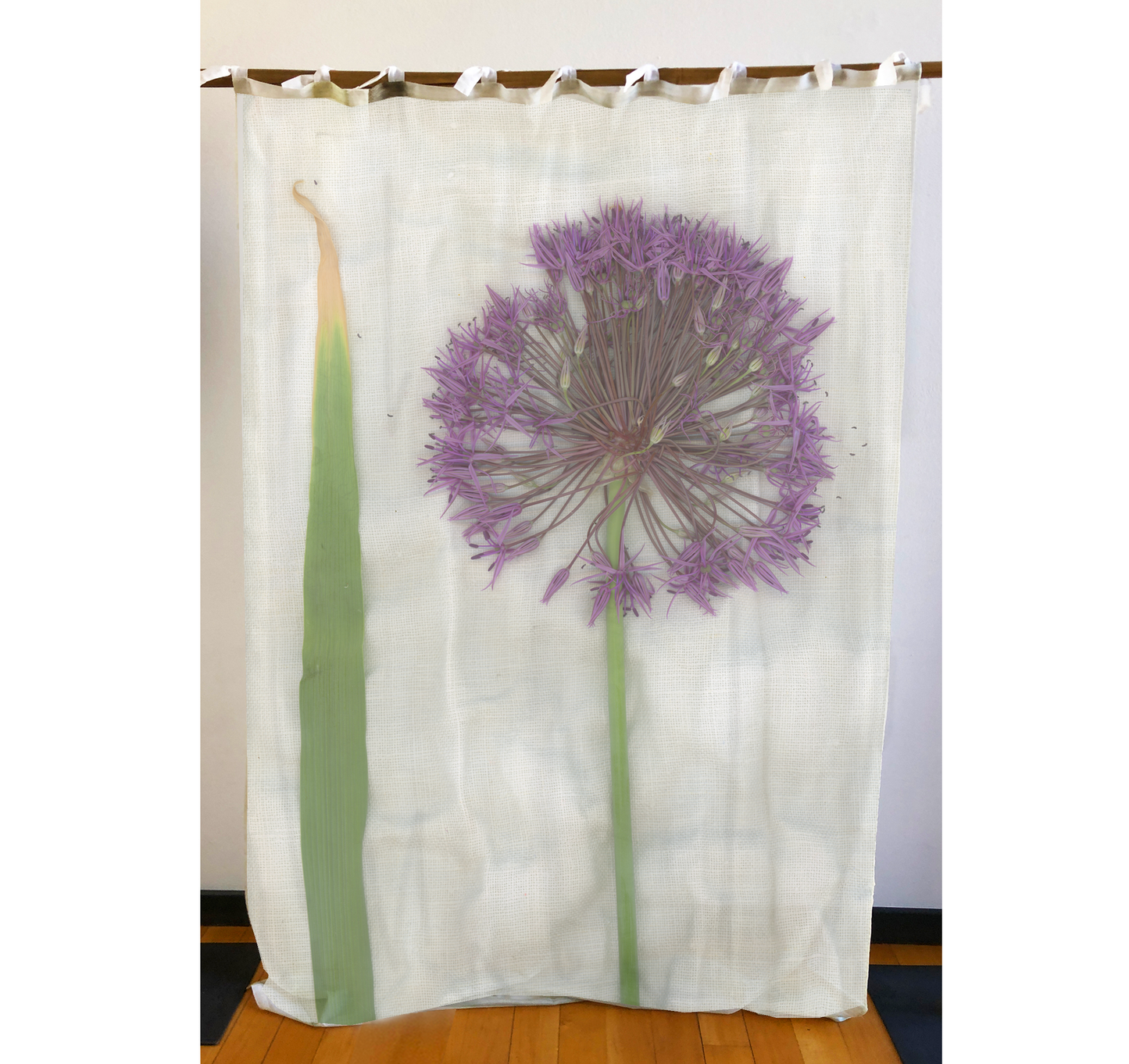 Tenda "Allium"