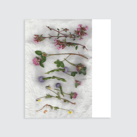 Plaid ''Aprile chiaro'' 210x250