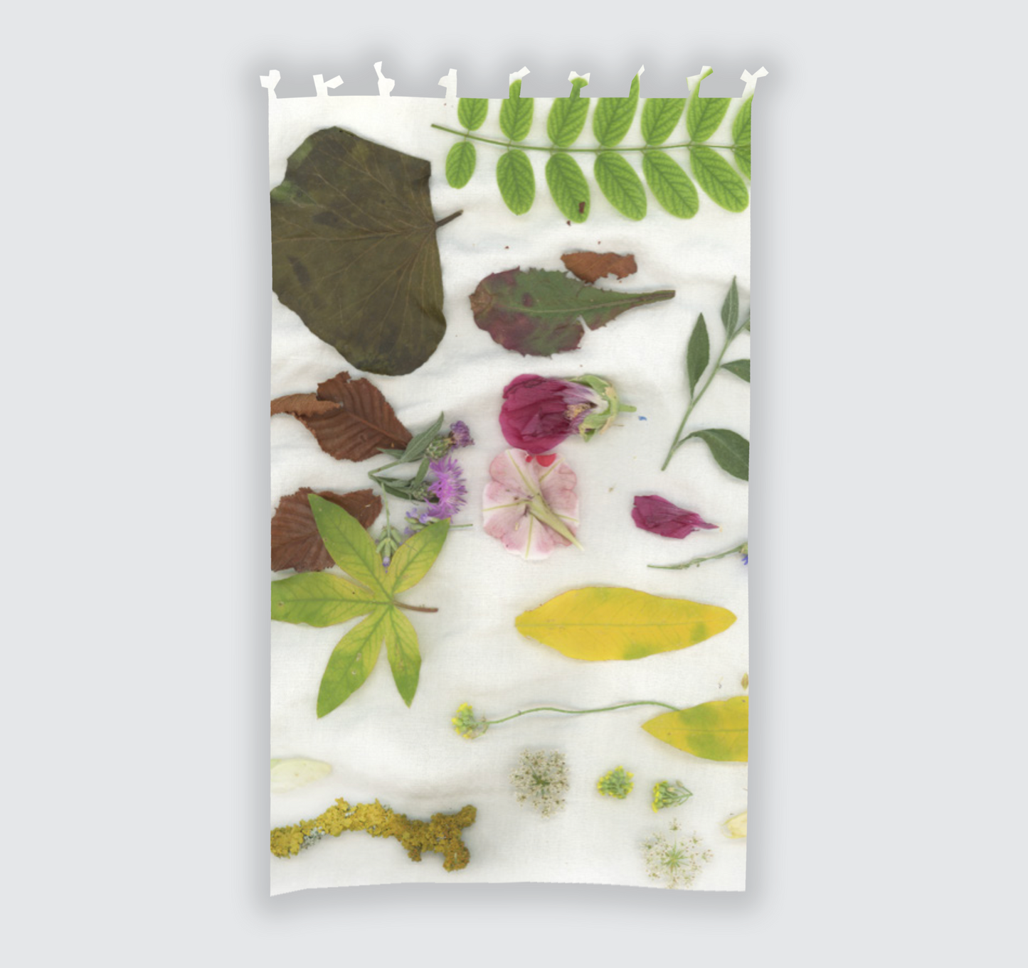 Tenda ''Natura su lino''