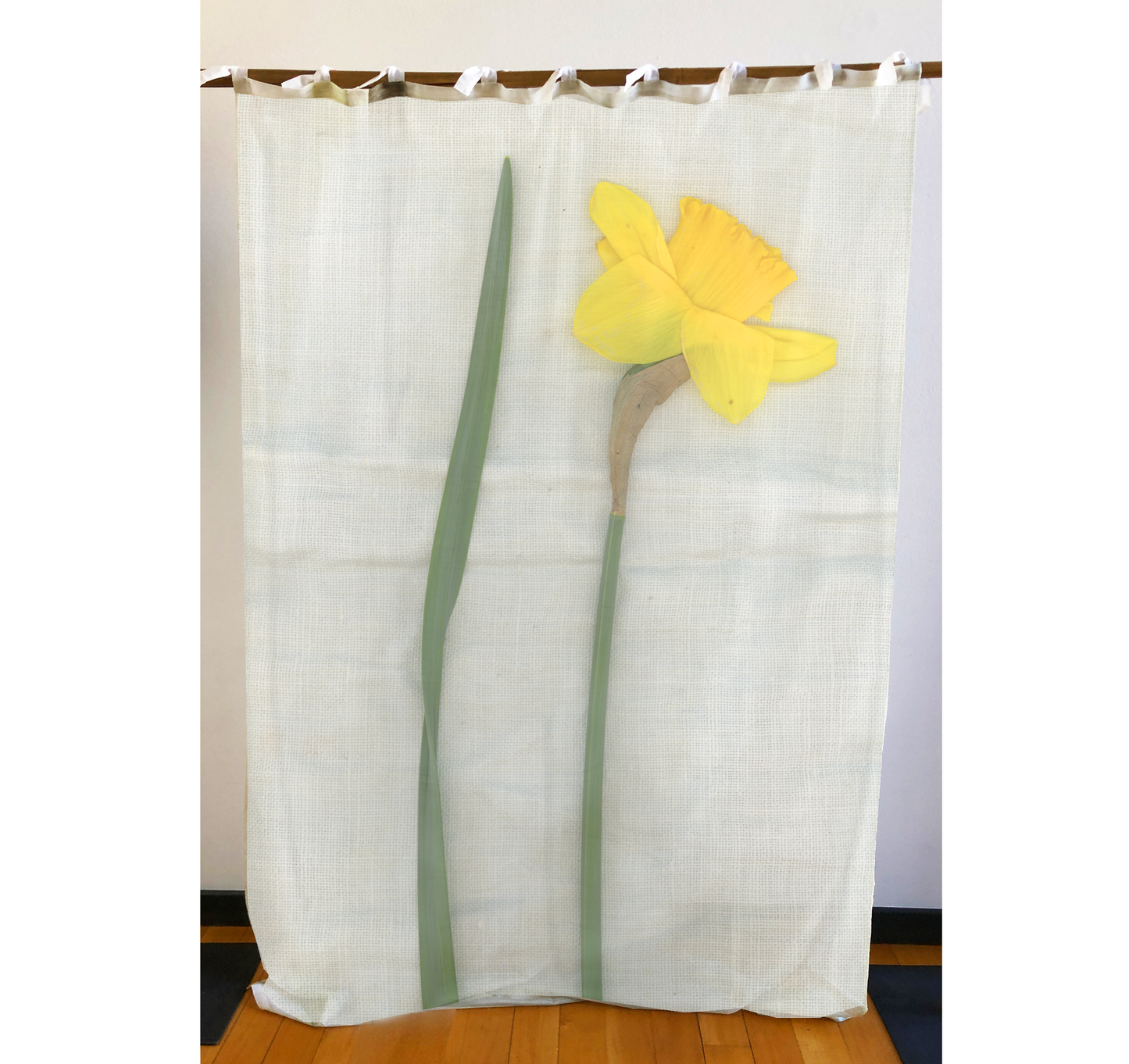 Tenda "Narciso"