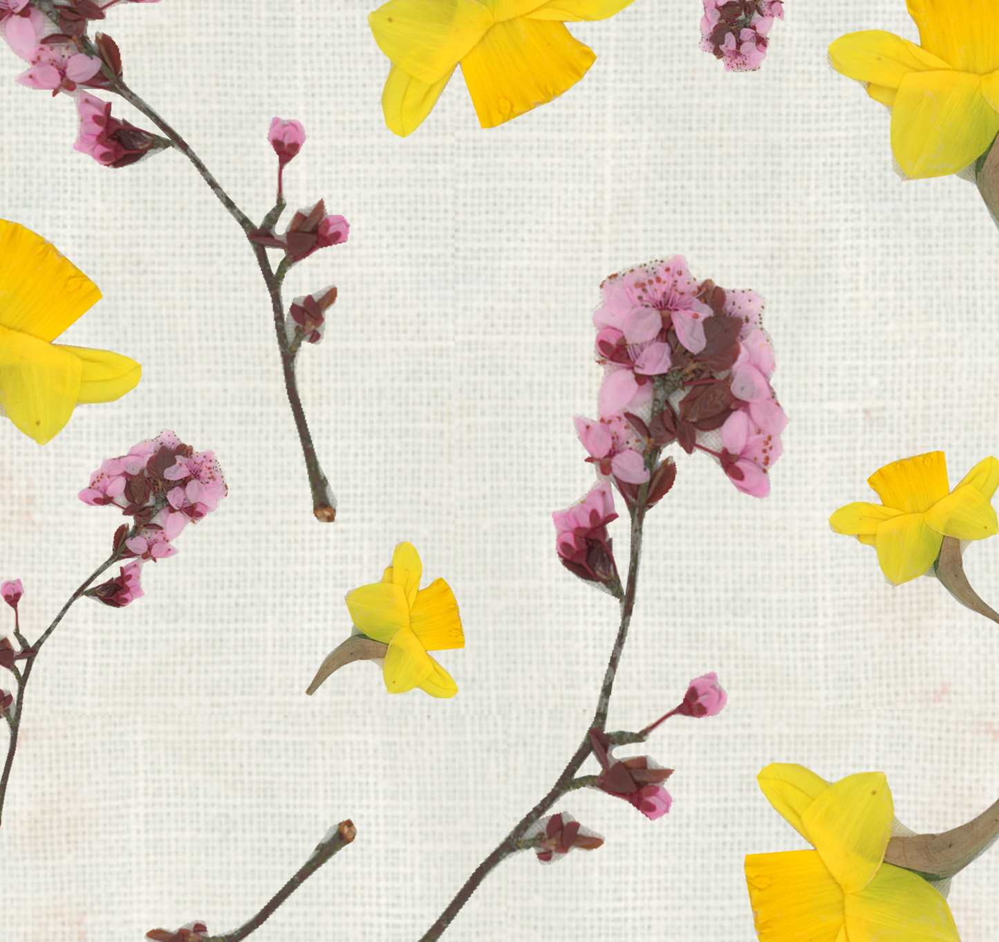 popeline "Bouquet narcisi"