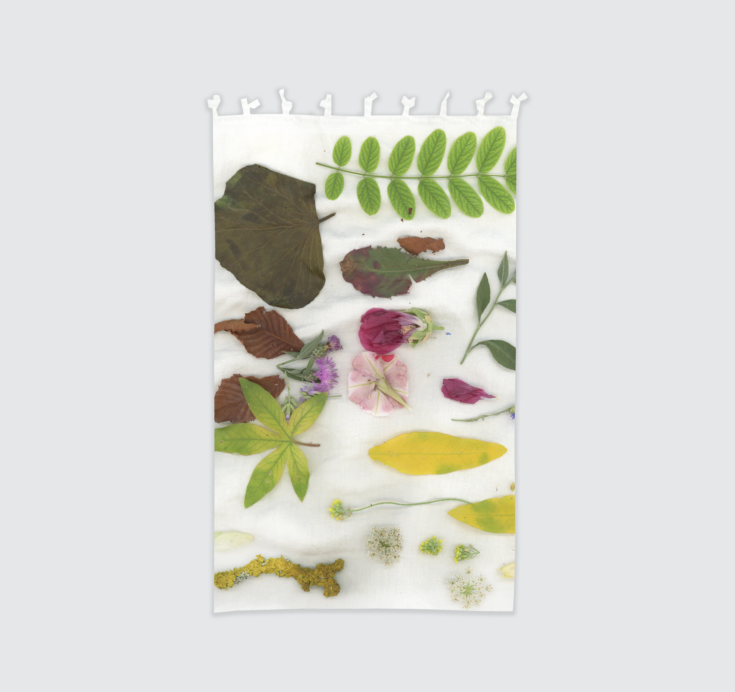 Tenda "Natura su Lino" 140x250