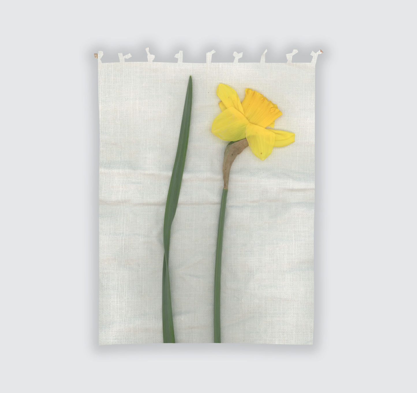 Tenda "Narciso" 140x200