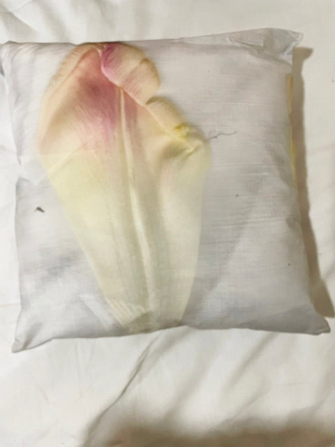 Cushion cover ''Petali Tulipani'' bis