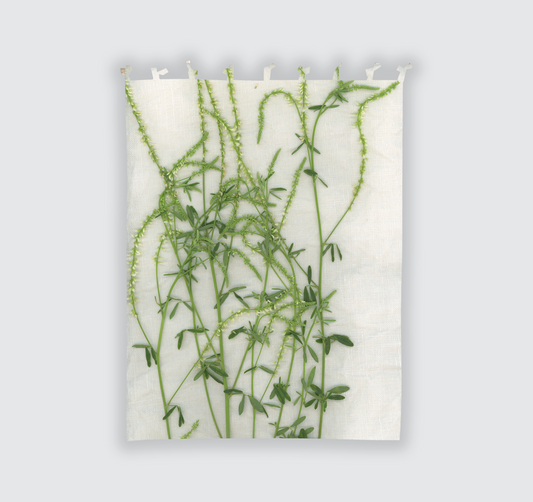 Tenda "Liane" 140x200