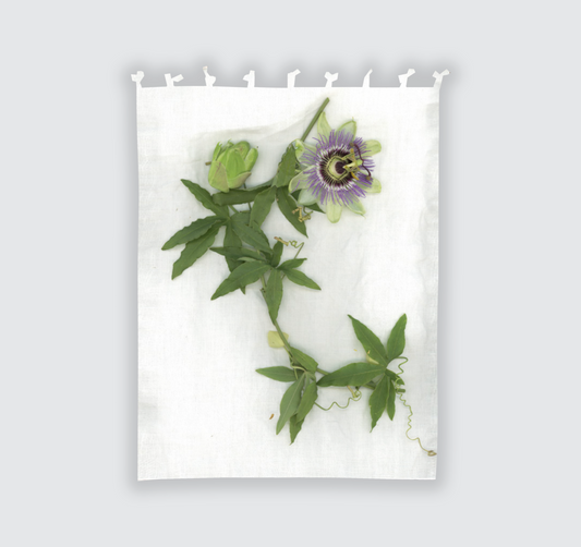 Tenda "Passiflora" 140x200