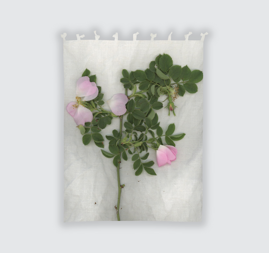 Tenda "Rosa Canina" 140x200